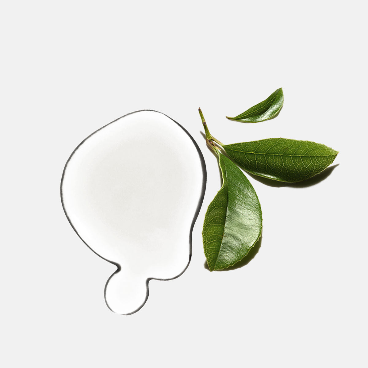 Óleo Essencial Tea Tree Limpeza e Bem-estar 10ml AUÁ