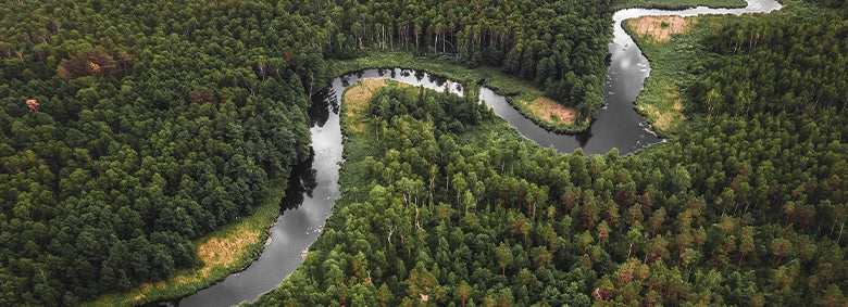 02-Blog-Amazonia-01