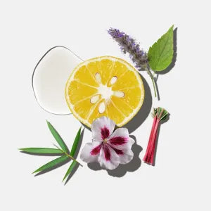 Eau de Cologne ARAM 200ml AUÁ