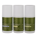 Kit Descubra sua Fragrância em Roll-On