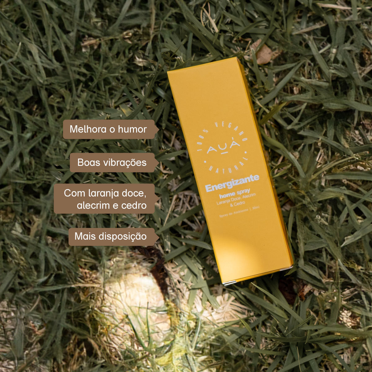 Home Spray Energizante revigora Ambientes 30ml AUÁ