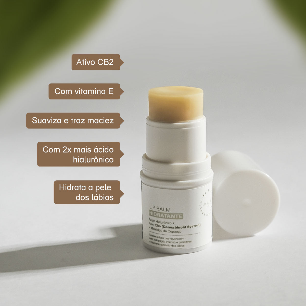 Lip Balm Hidratante Labial 4g AUÁ NATURAL