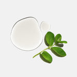 Óleo Essencial Hortelã Pimenta Estímulo e Clareza Mental 10ml AUÁ