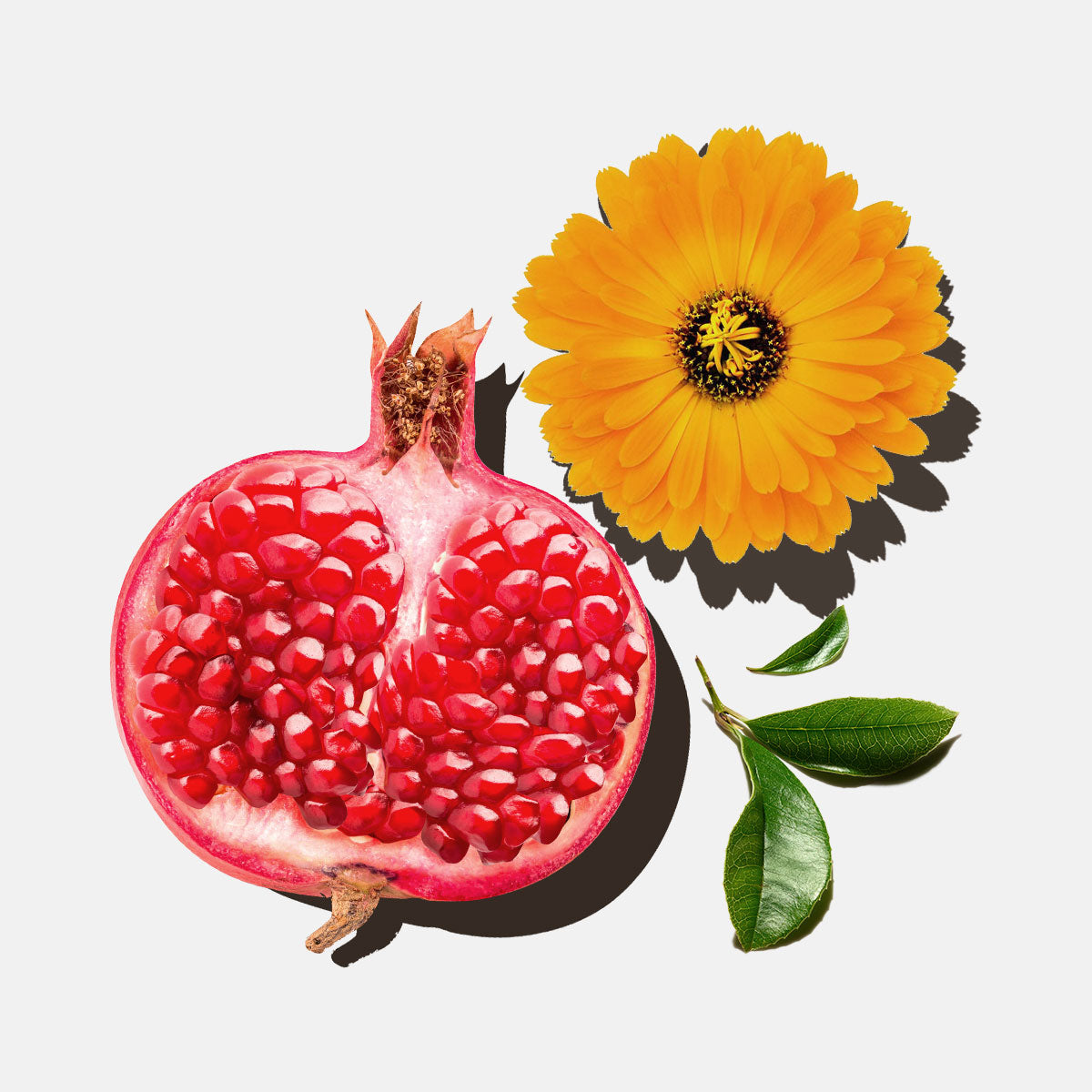 Tônico Regenerador Antioleosidade 90ml AUÁ